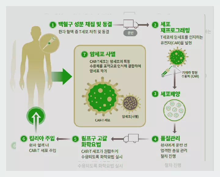 CAR T세포 치료제 원리