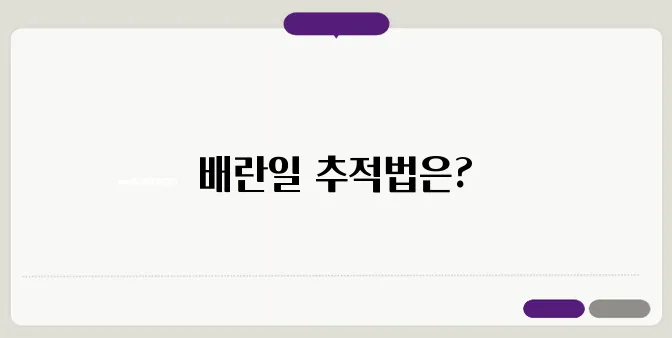 배란일 계산기 한번 정확하게 알아보도록 하죠