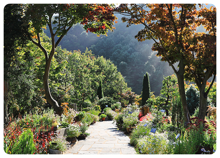 아침고요수목원1