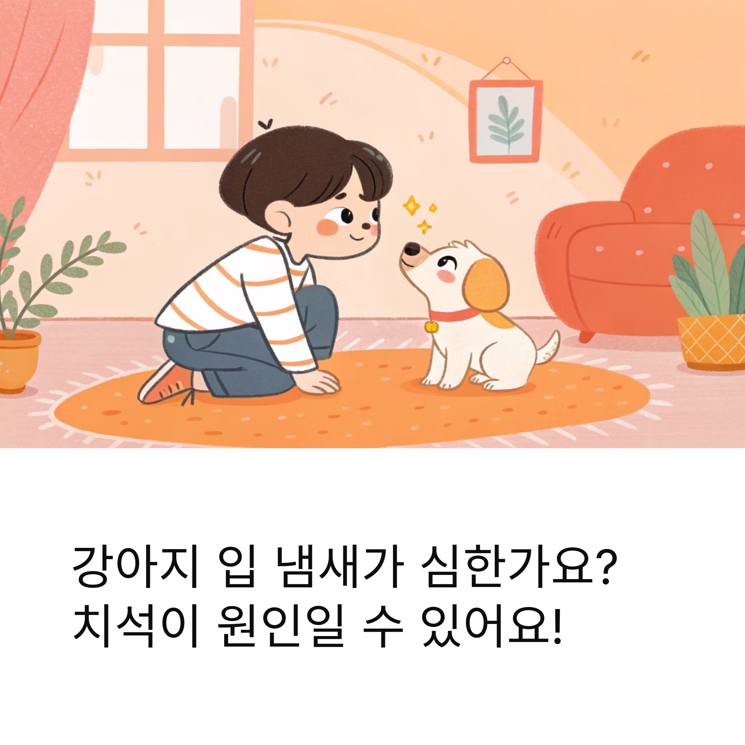강아지 치석, 집에서 실천하는 구강관리법