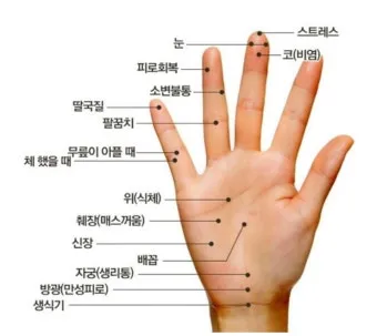 회사에서 졸릴때 잠깨는 혈자리 지압법 효과적 방법_4