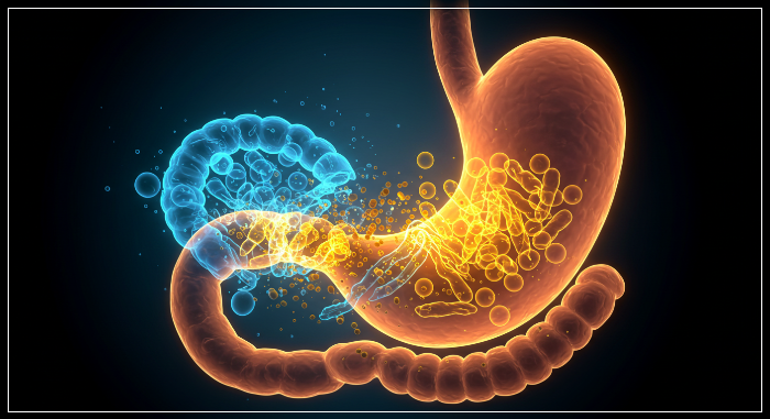 소화효소_부작용과_주의사항_장건강