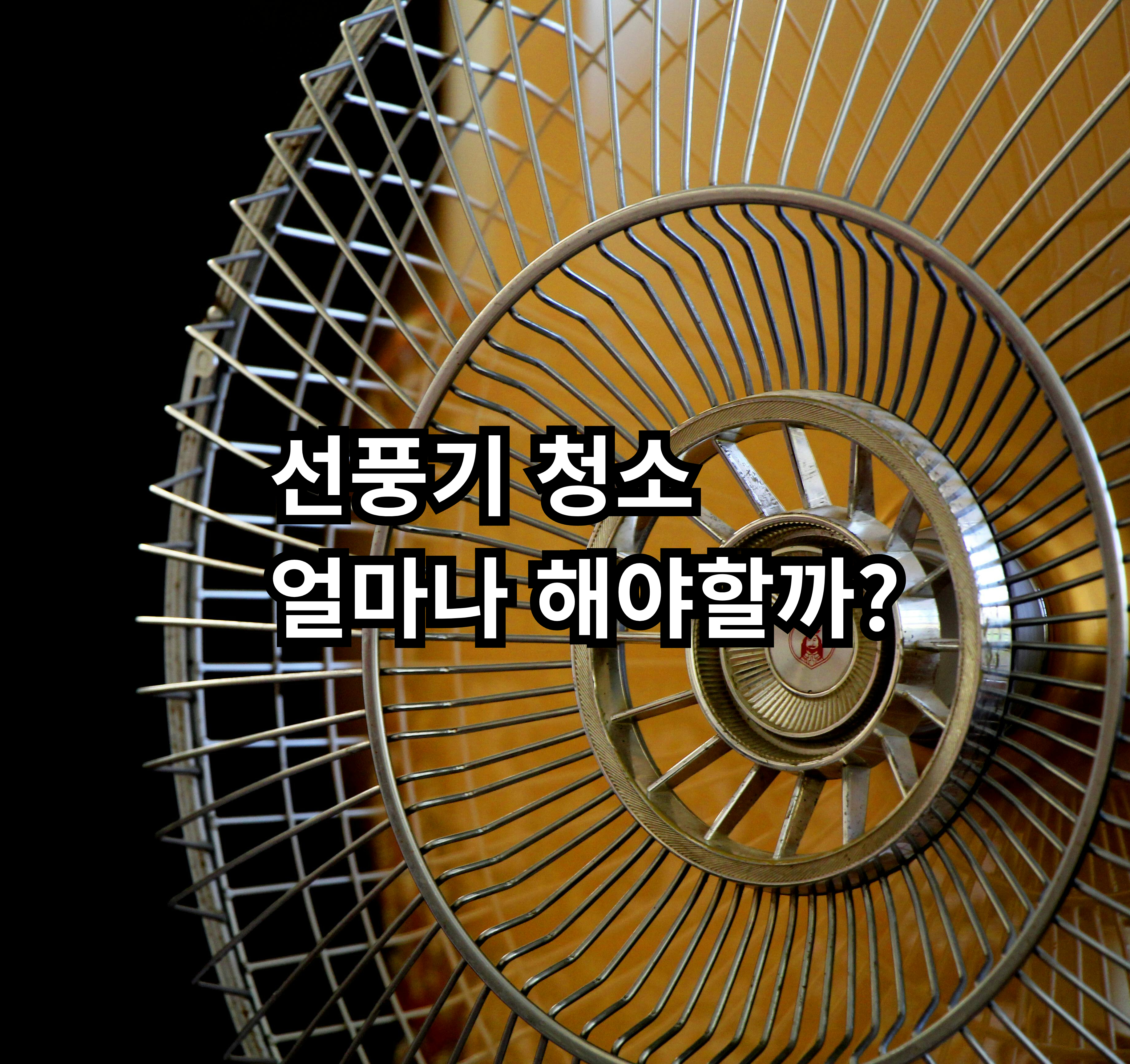 선풍기를 얼마나 자주 청소하면 좋은지 자취 현실기준으로 정리한 글