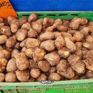 뮤신이 많은 음식