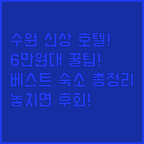 2024년 신상 호텔부터 6만원대 가..