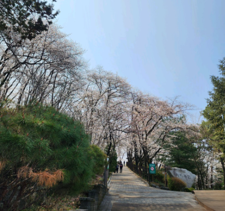 테미공원