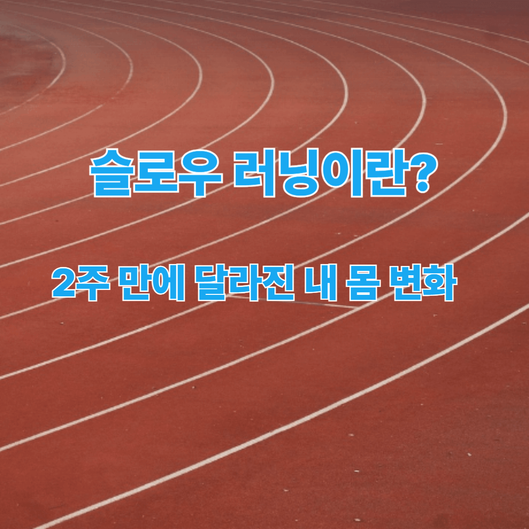 슬로우 러닝