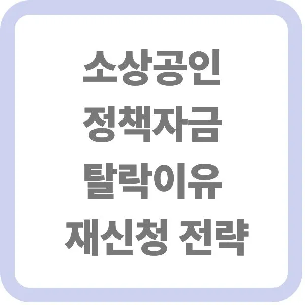 소상공인 정책자금 탈락이유 및 재신청 전략 타이틀 텍스트