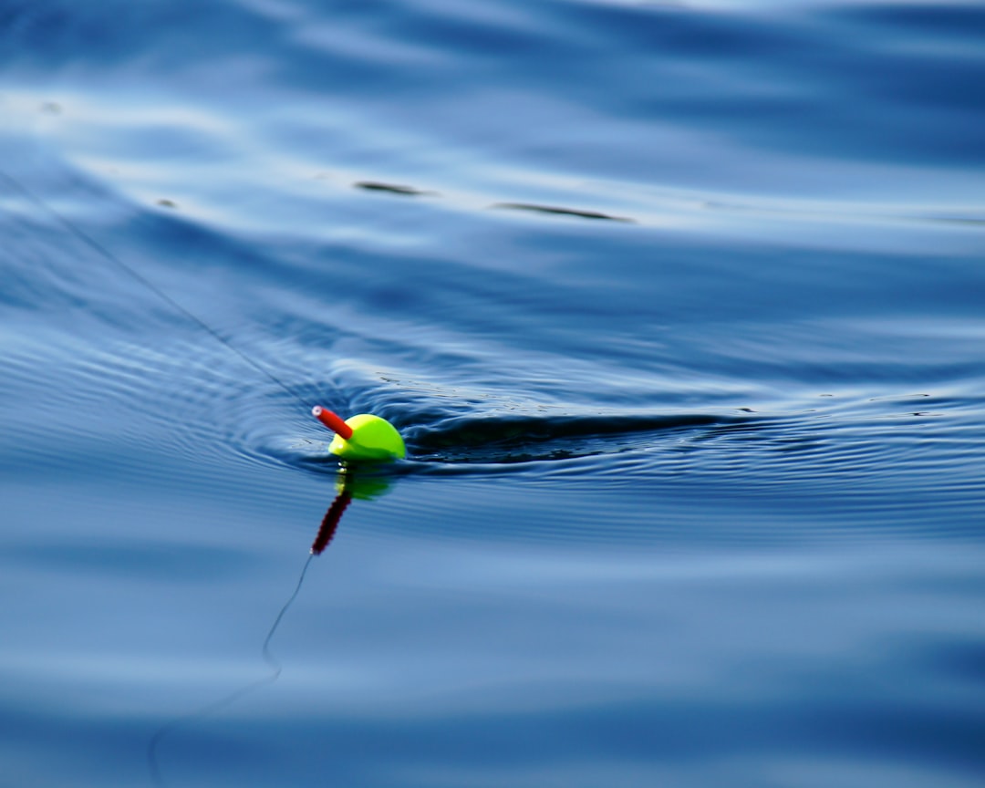 Fishing