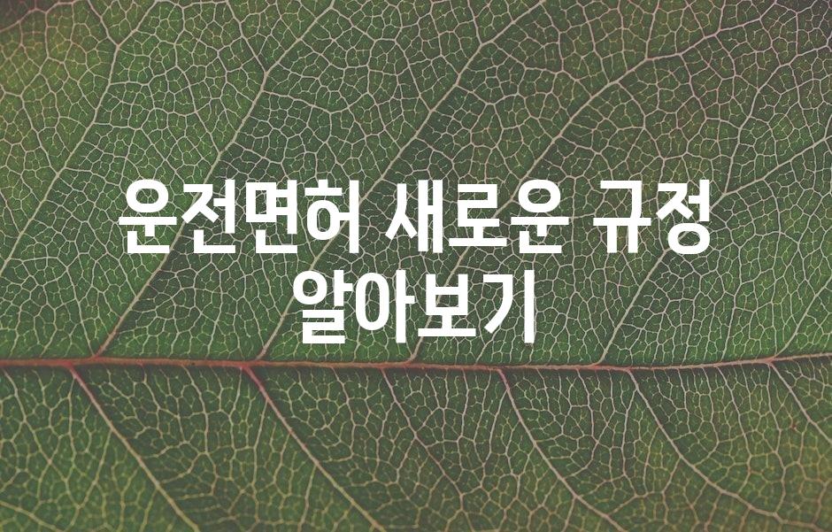 샘플 (43)