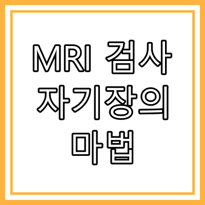 MRI 검사: 몸의 비밀을 해석하는 자기장의 마법