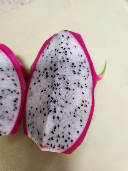 용과 손질