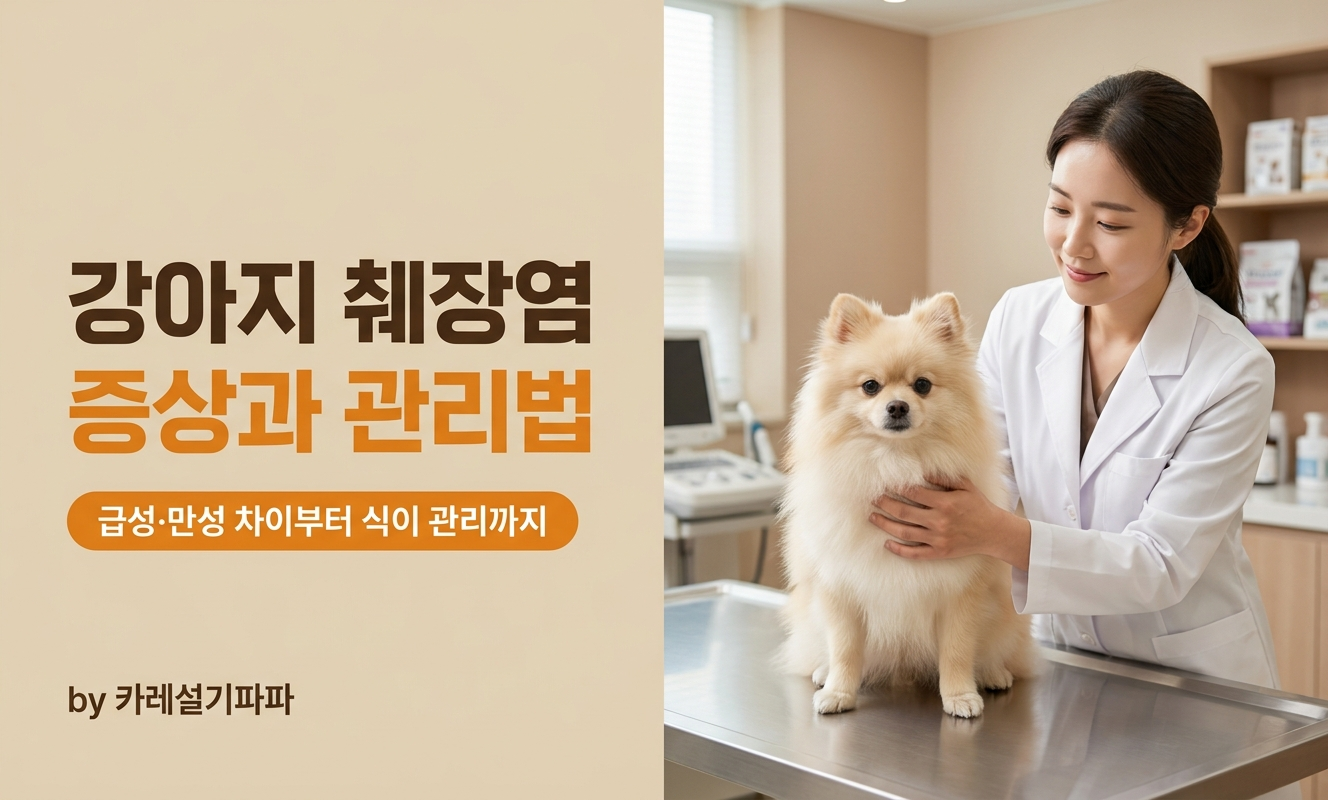 포메라니안과 수의사 진료 장면