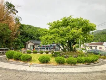 영천 가볼만한곳 맛집 카페 추천 여름 사진 명소_16