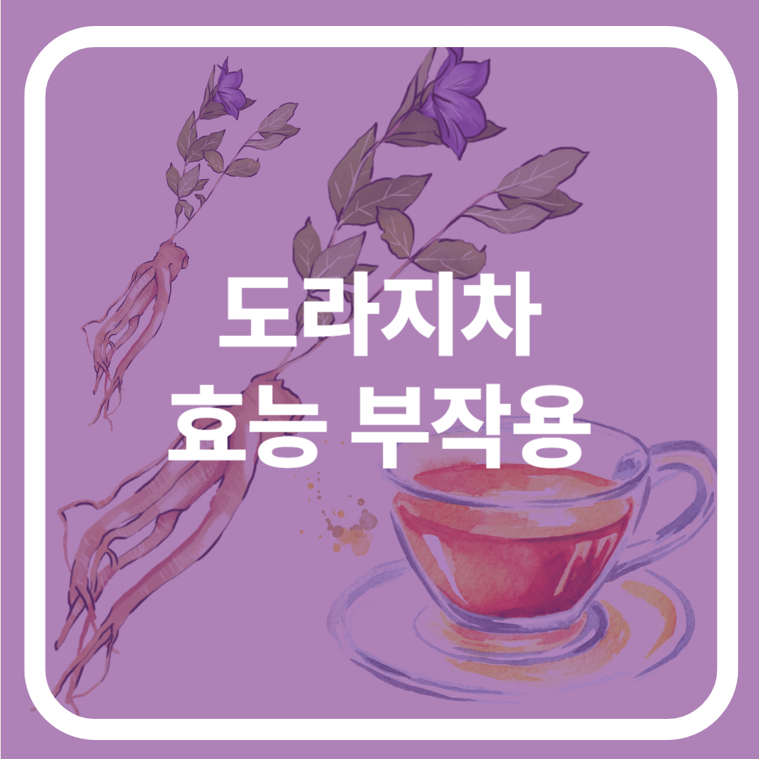 도라지차 효능 부작용