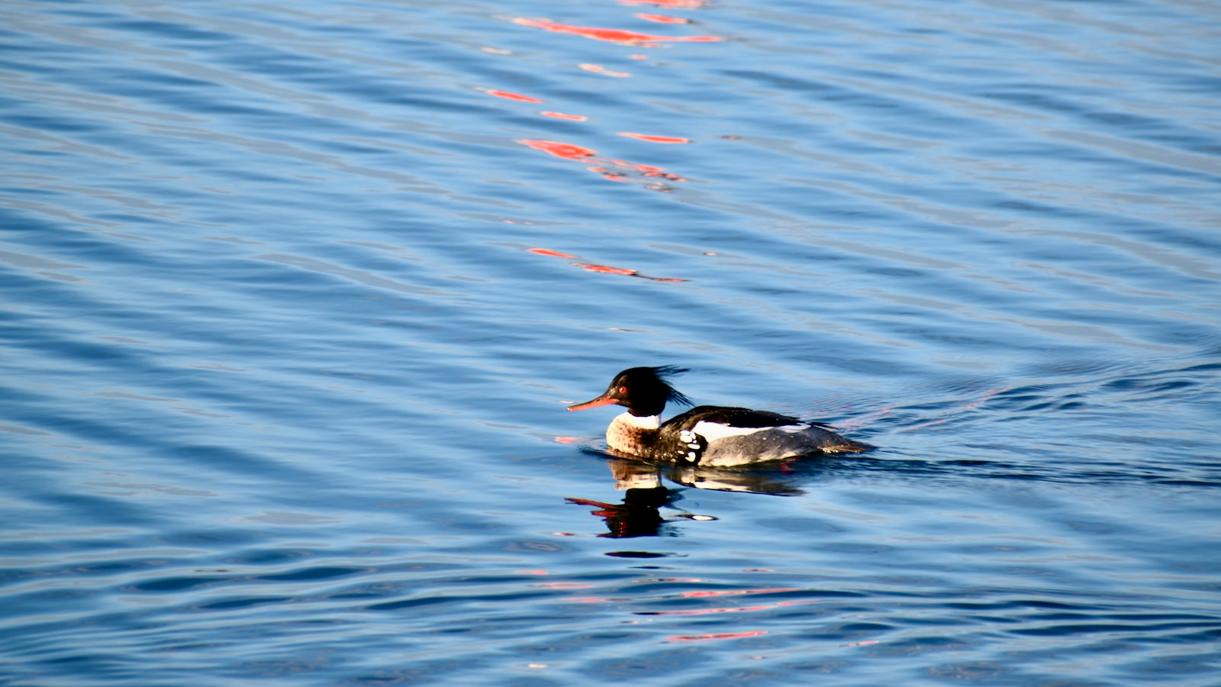 인천항 두드림사업 참여기업모집