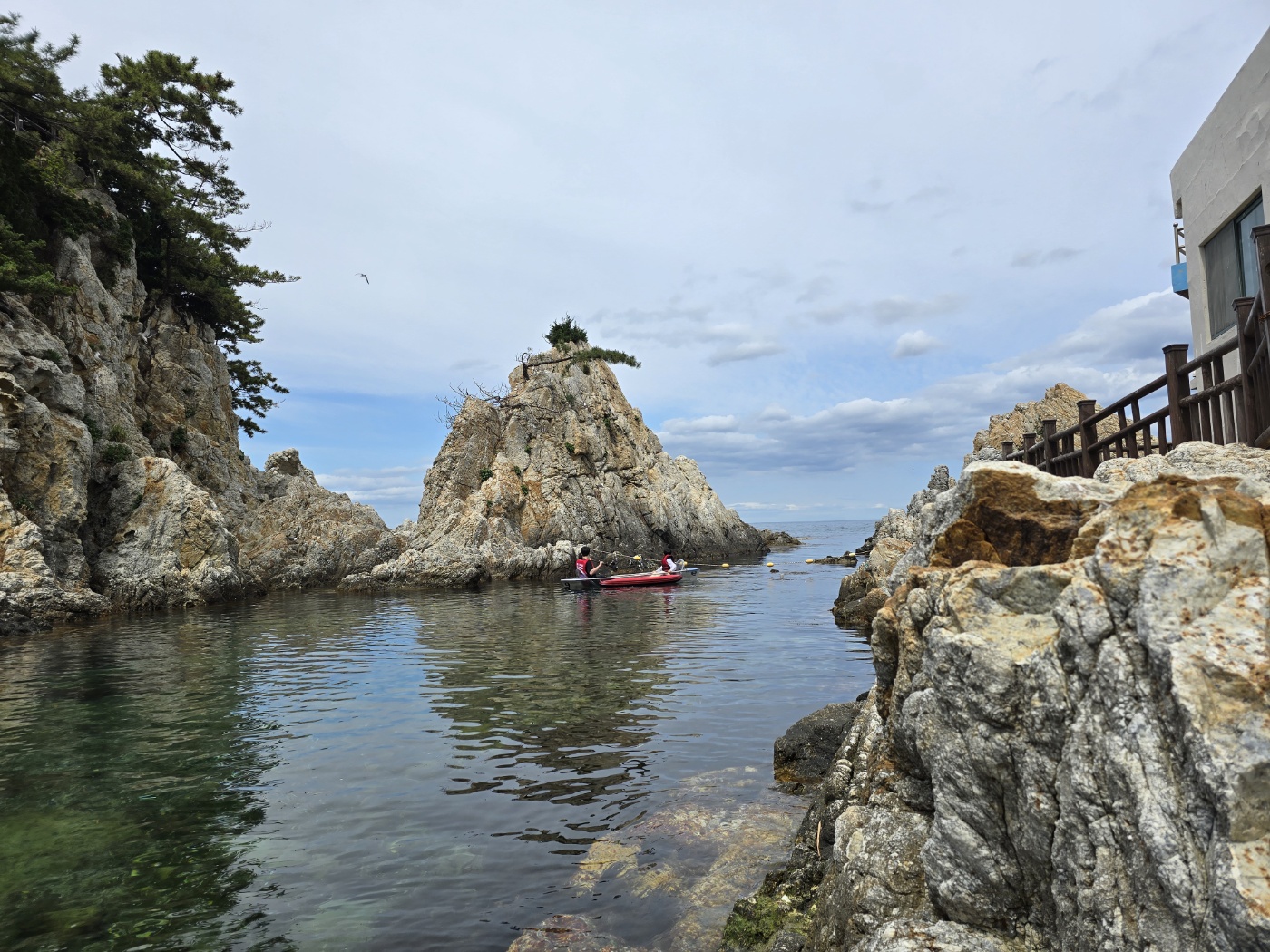 갈매기를 가까이서 볼 수 있는곳