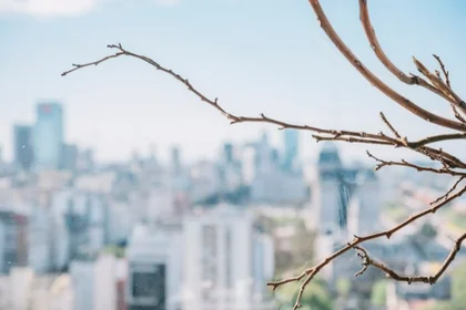 겨울철 미세먼지 농도가 높아지는 원인과 변화 흐름20