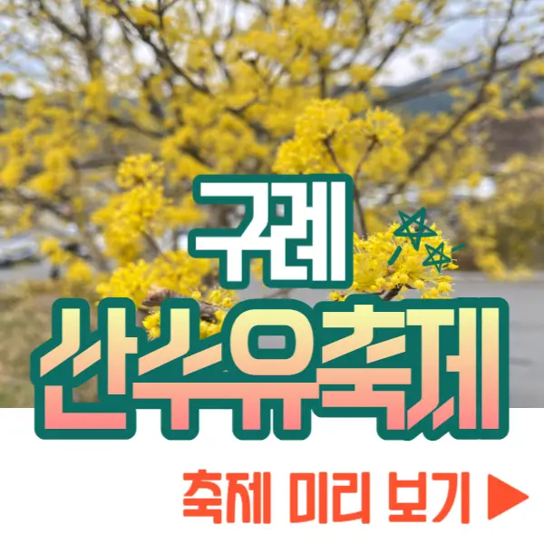 구례 산수유축제 정보