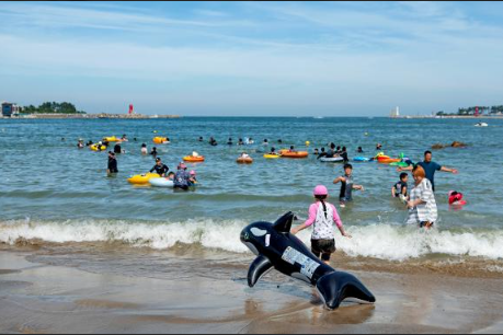 부산 해수욕장 개장일 안내
