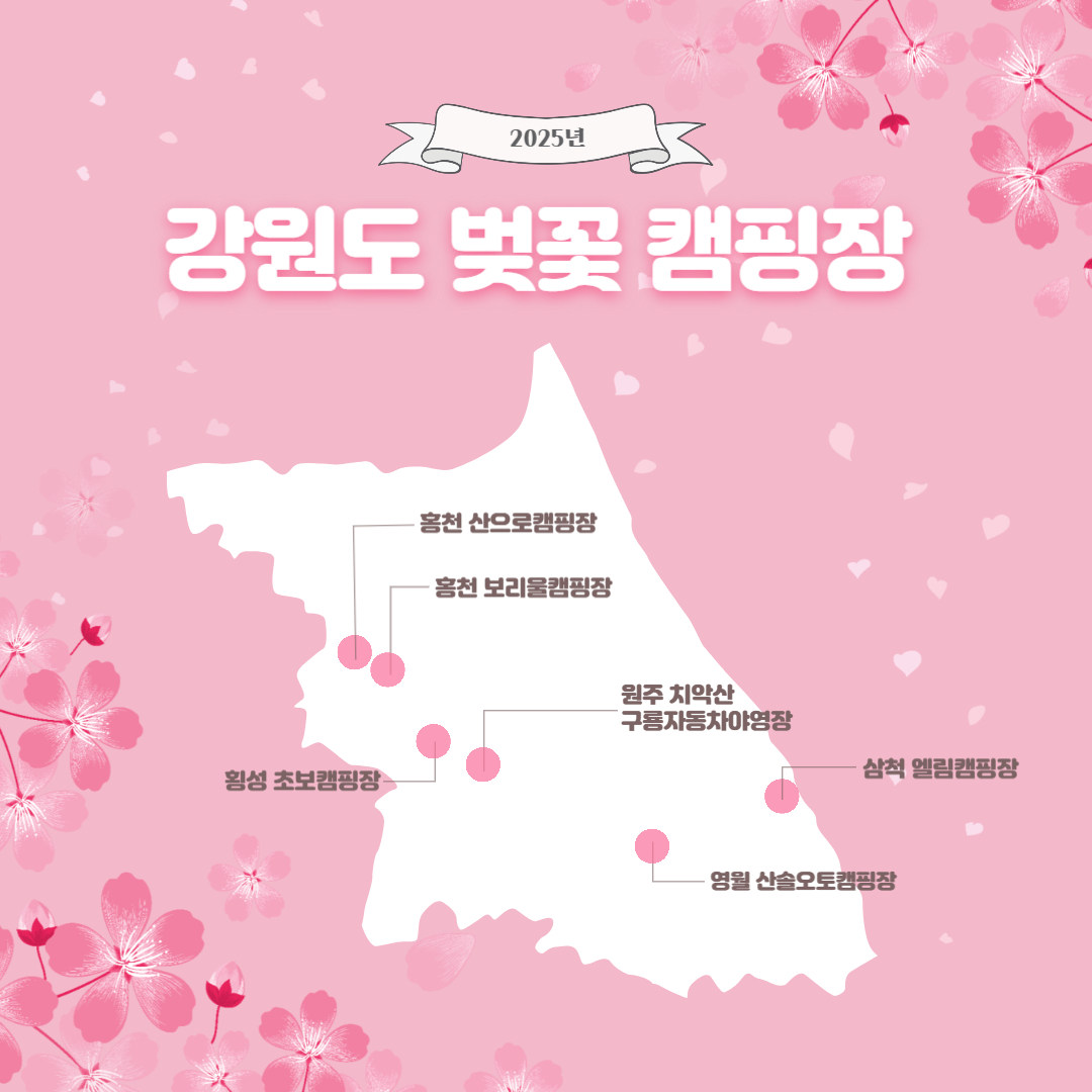 강원도 벚꽃 캠핑장 지도