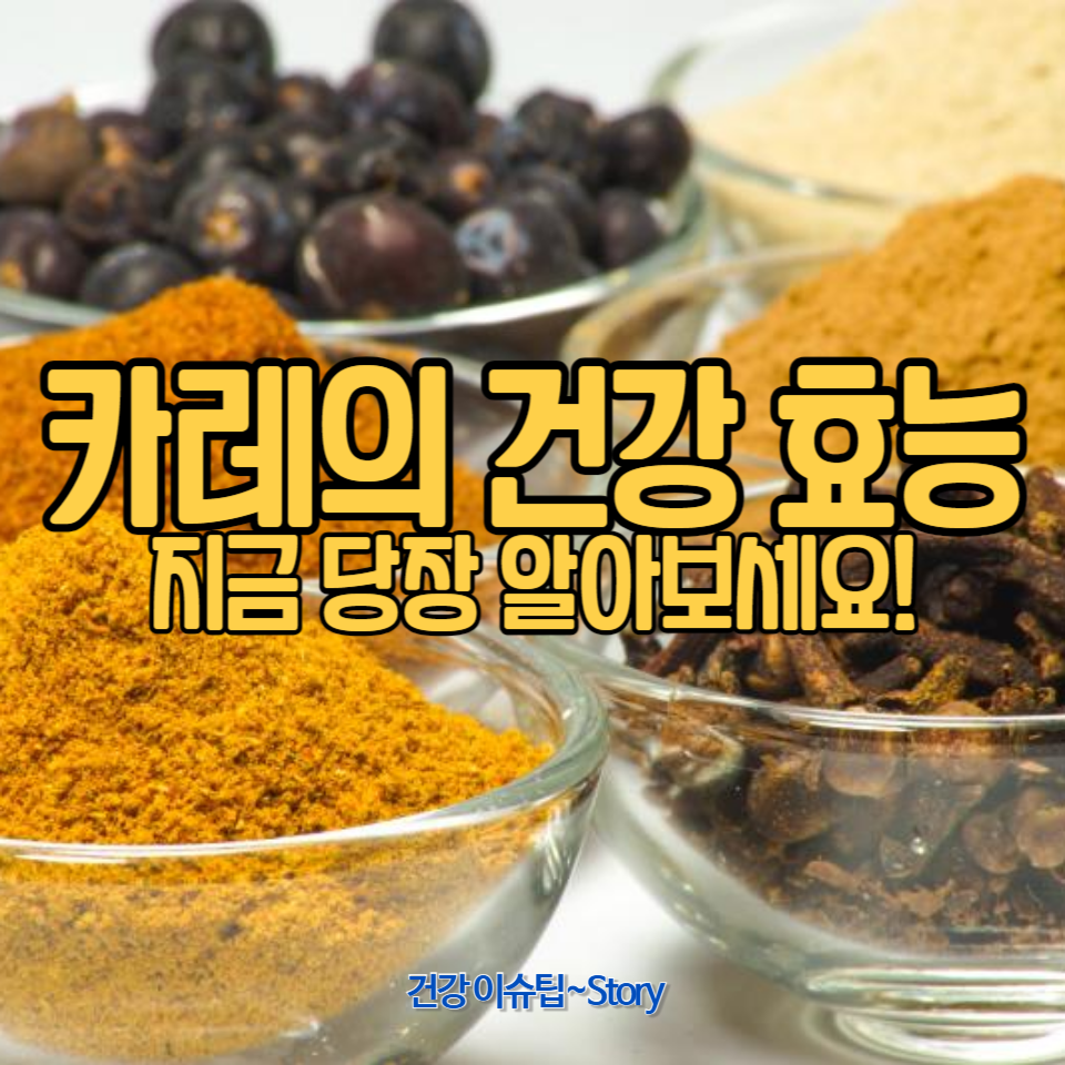 카레의 건강 효능에 대해 알아보세요.