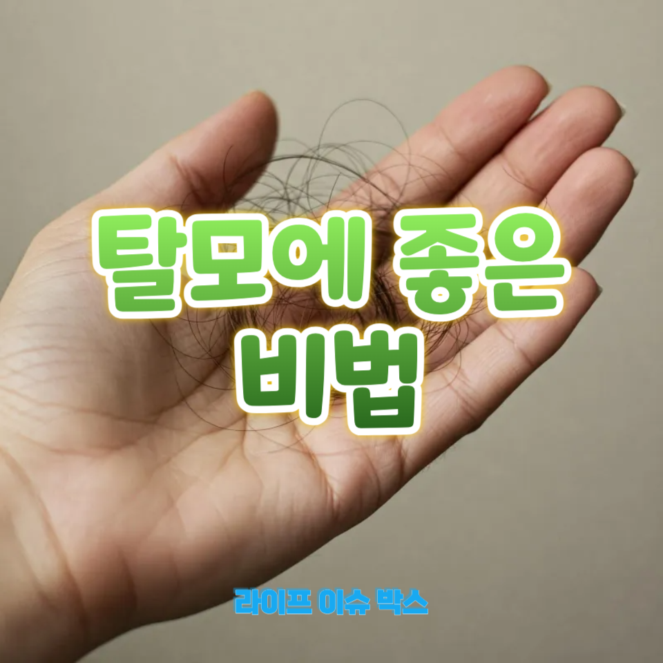 탈모에 좋은 비법