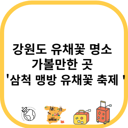 강원도 유채꽃 명소 가볼만한 곳 '삼척 맹방 유채꽃 축제 '