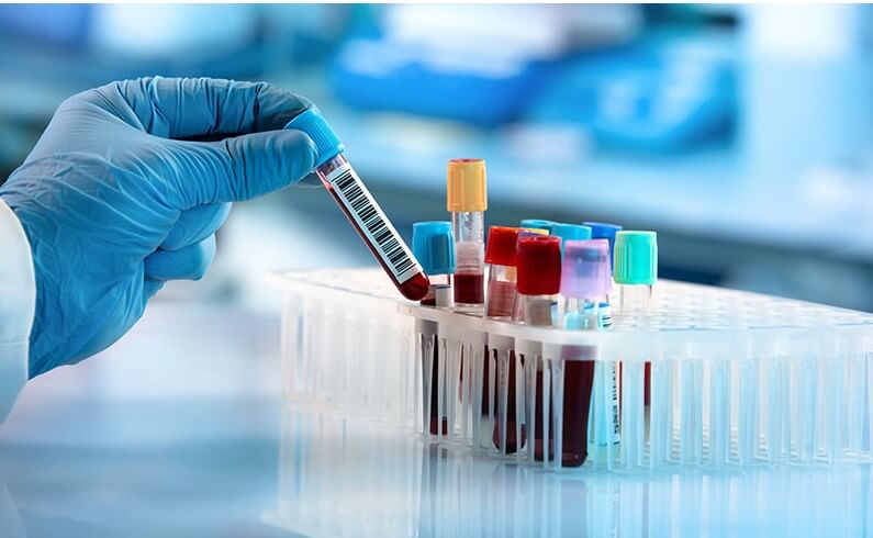 랩지노믹스 배당금 지급일