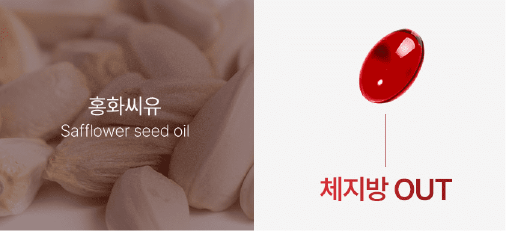푸응 팻버닝 효과 및 부작용, 후기 (체지방 감량 다이어트 영양제 추천)