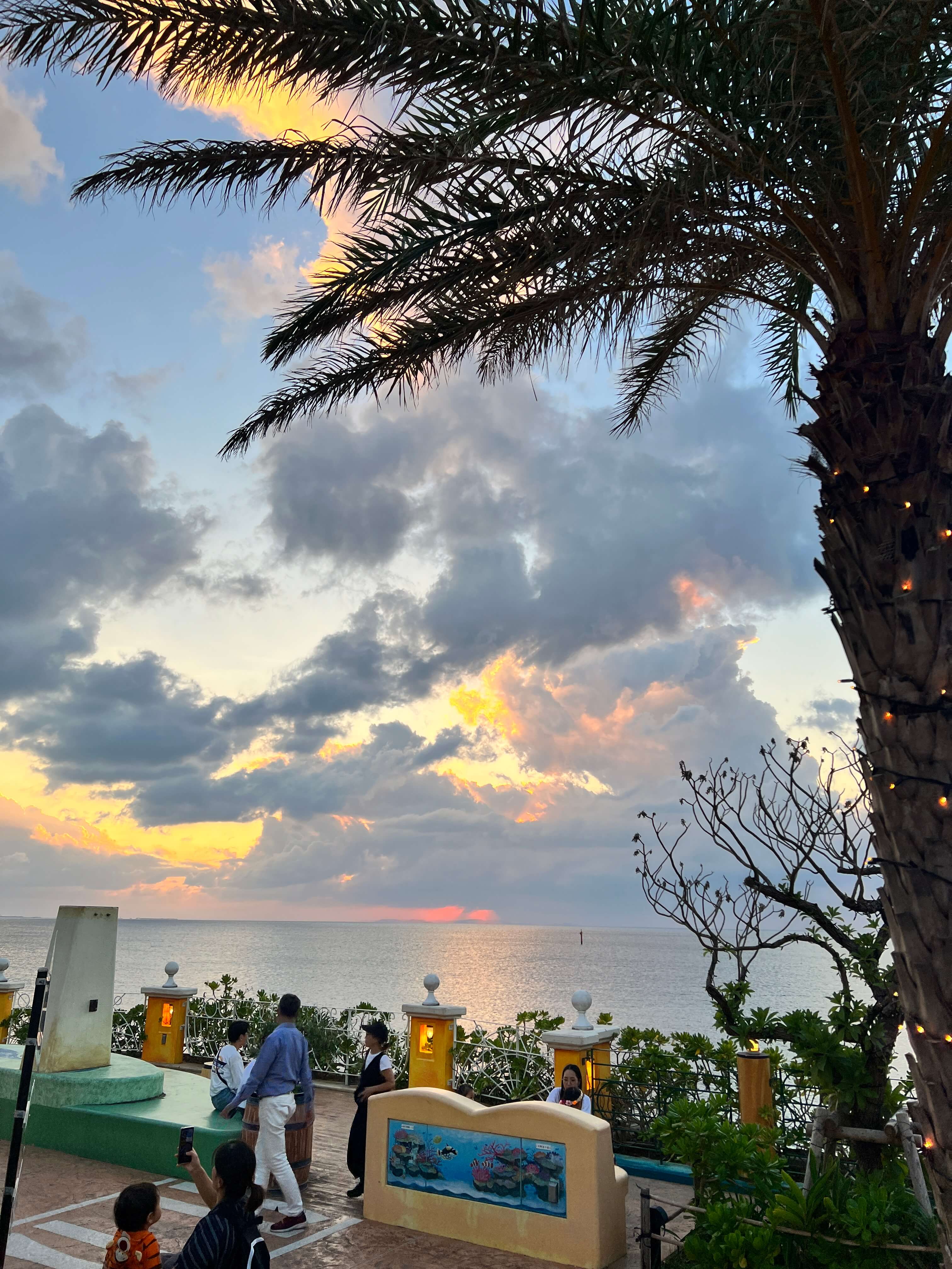 오키나와 1월 날씨