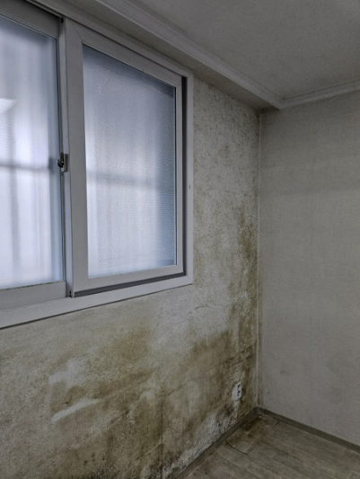 실내 곰팡이 오염