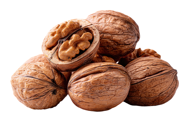 오메가3가 풍부한 음식에 관한 그림