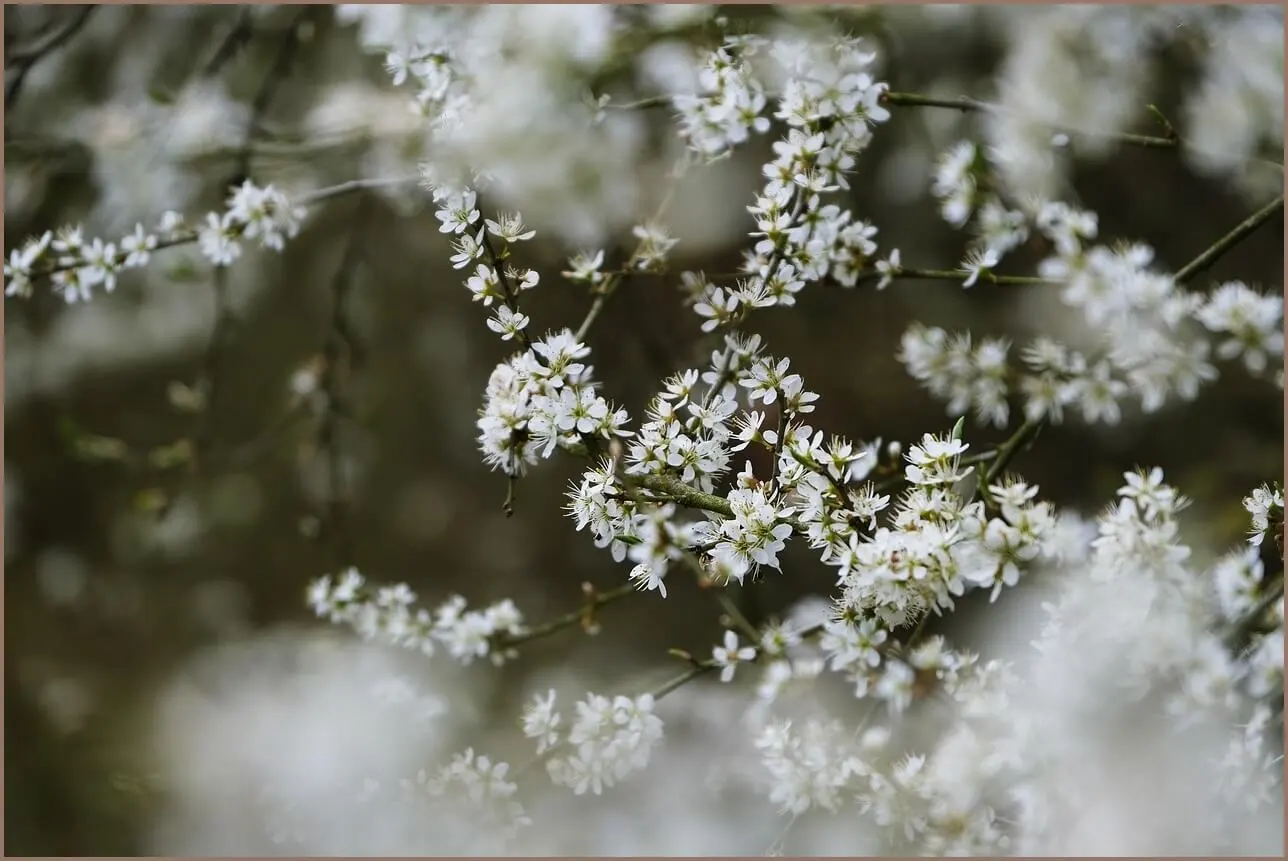 수협 정기예금 금리