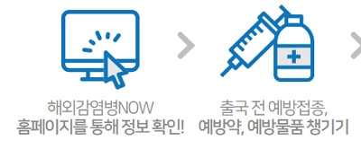 해외 감염병 예방 정보 조회