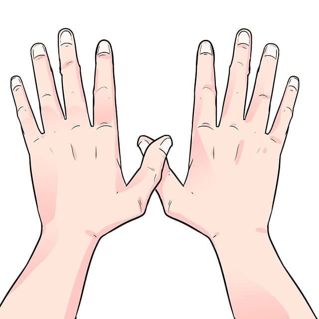 손가락 비율, 남성홀몬, 심리적 성향, 건강과 질병