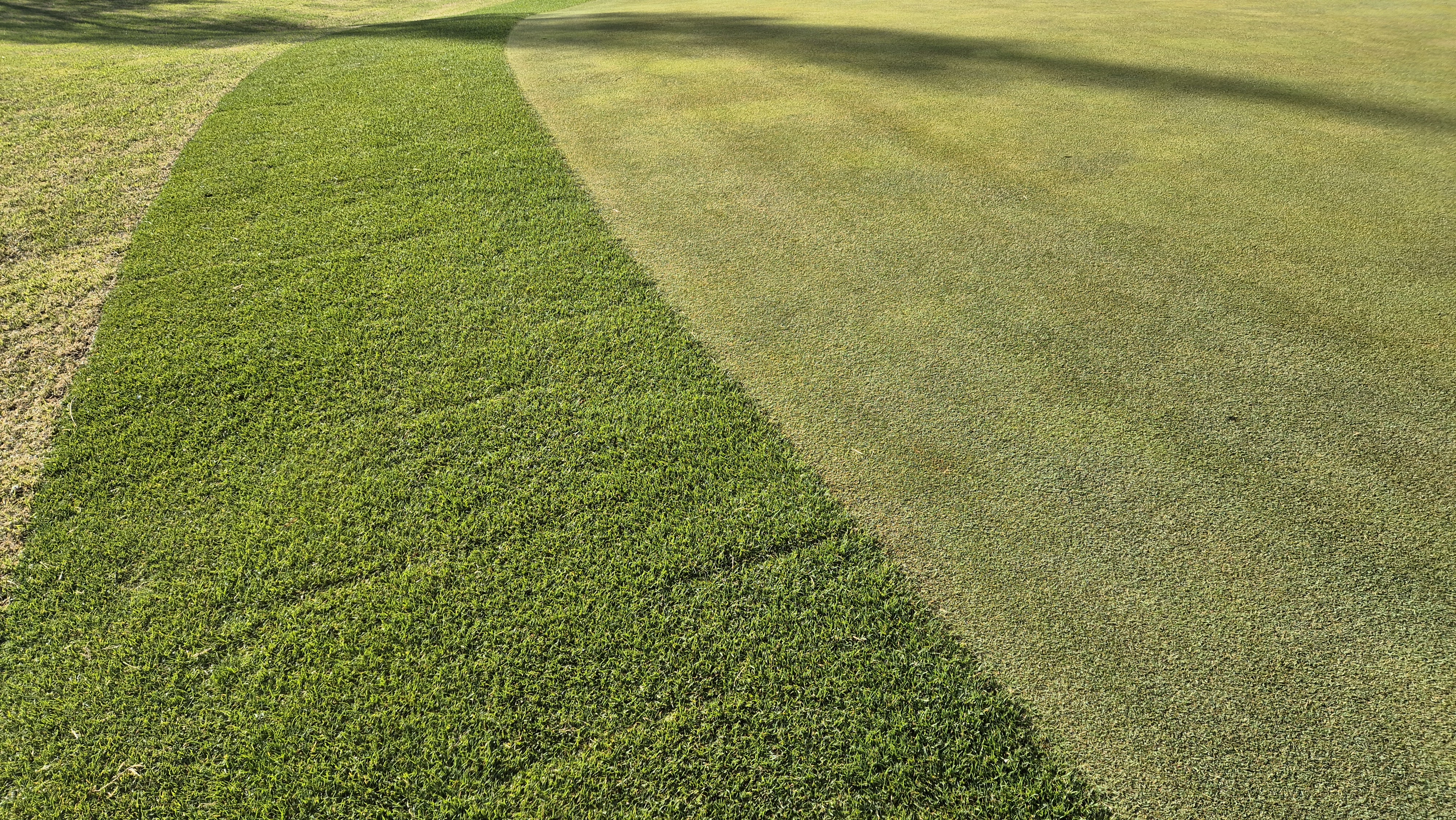 마에스트로cc 라운드 후기