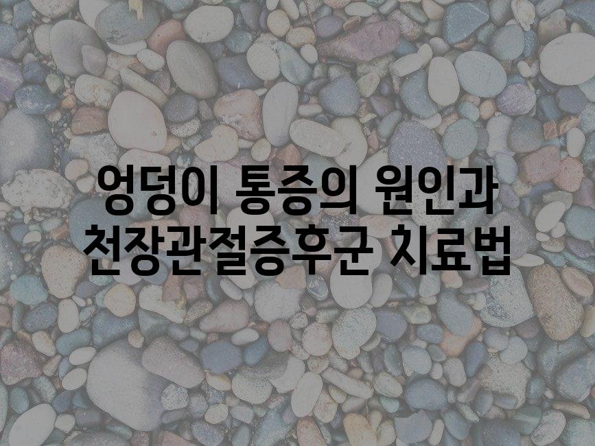 샘플 (82)