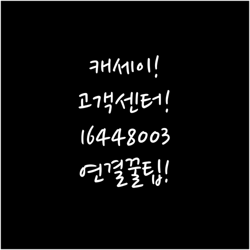 캐세이퍼시픽 고객센터 전화번호 164..