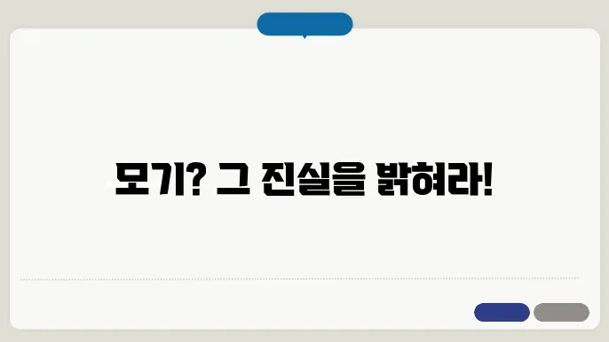 모기 종류