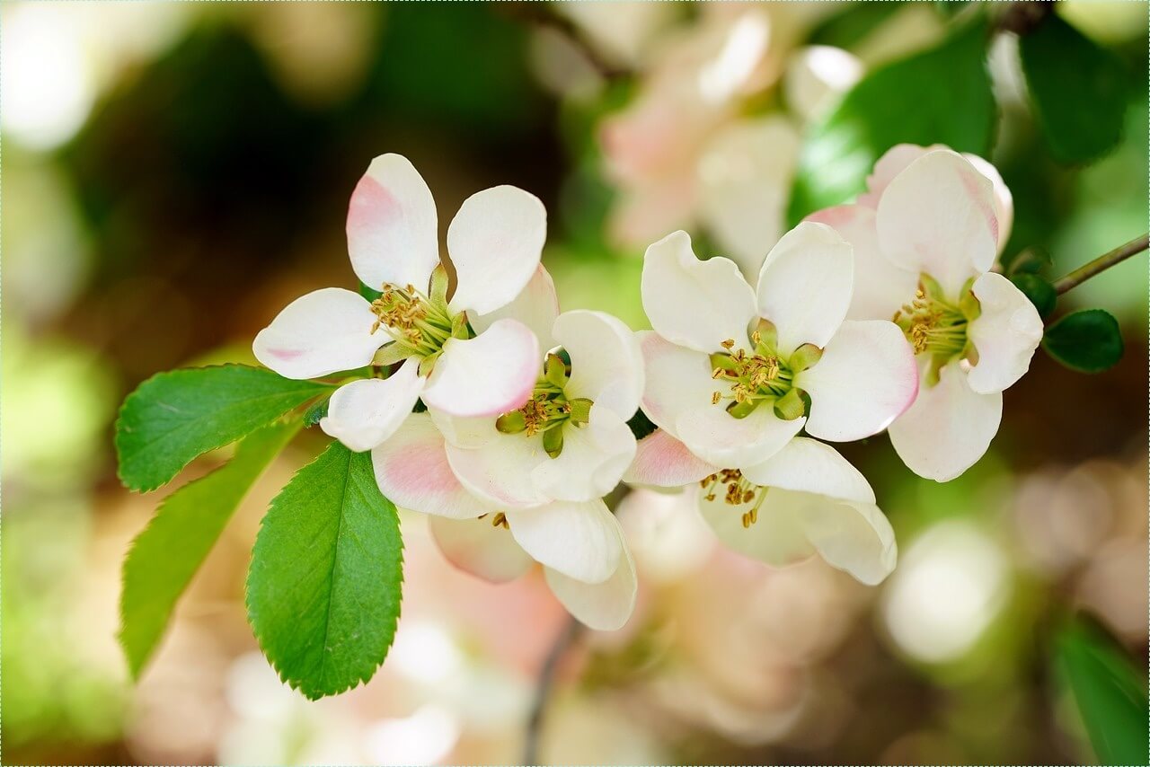 은행 적금 이자 높은곳