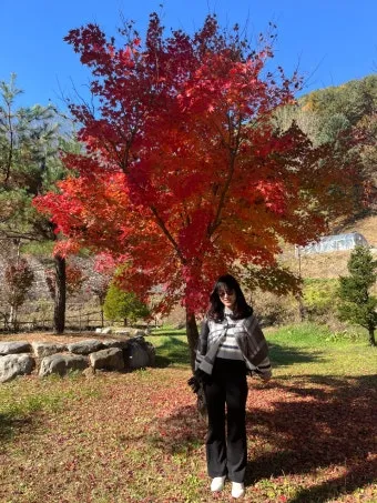 단풍구경 전국 명산 50대 이상 안전한 등산로 추천_8