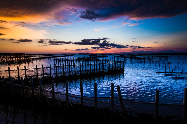 대만 자유여행 코스 추천 : 매력적인 타이난 해안 지역 자유여행