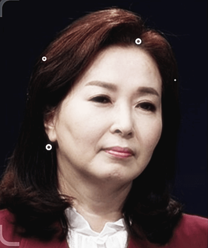 김민전