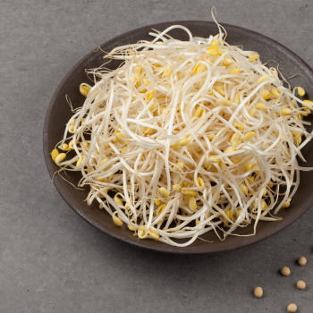 콩나물 무침 맛있게 만드는법