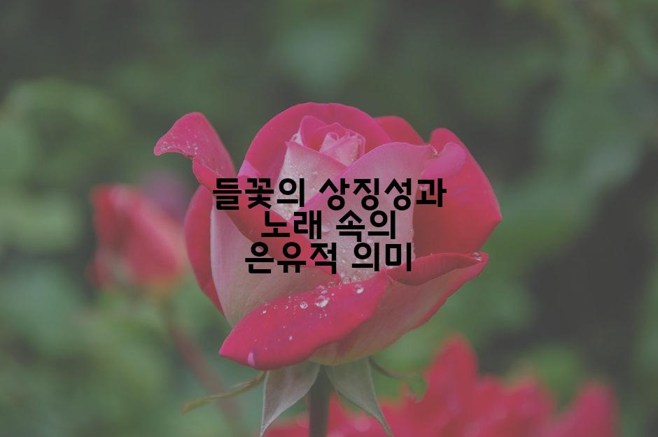 들꽃의 상징성과 노래 속의 은유적 의미