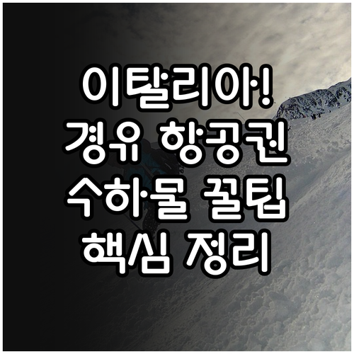 이탈리아 동계올림픽 관람용 경유 항공..