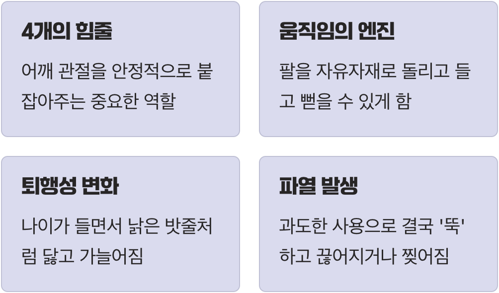 우리 어깨의 엔진, '회전근개'란?