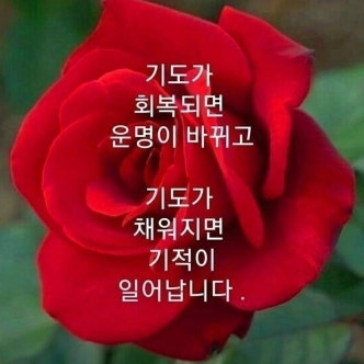 고유명사
