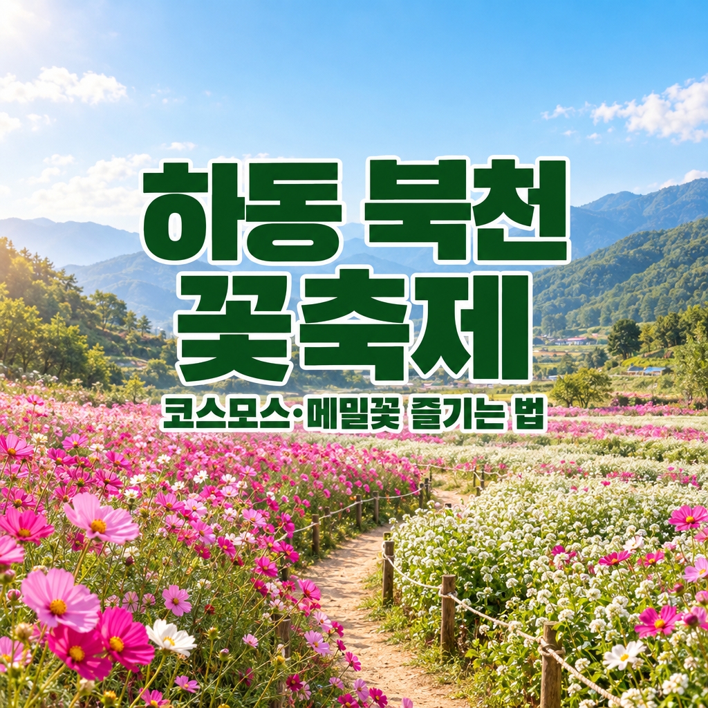 2026 제20회 하동 북천 코스모스 메밀꽃 축제 프로그램과 농촌체험 즐기기